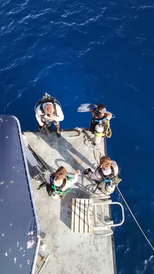 DNS Diving guests entering the clear blue Grand Cayman water from the boat's swim platform