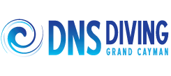 DNS Diving