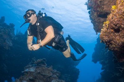 PADI Education at DNS Diving